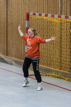 Bild 114 - Damen HSG Kremperheide/M�nsterdorf - Suchsdorfer SV : Ergebnis: 39:22